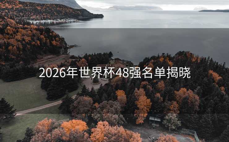 2026年世界杯48强名单揭晓